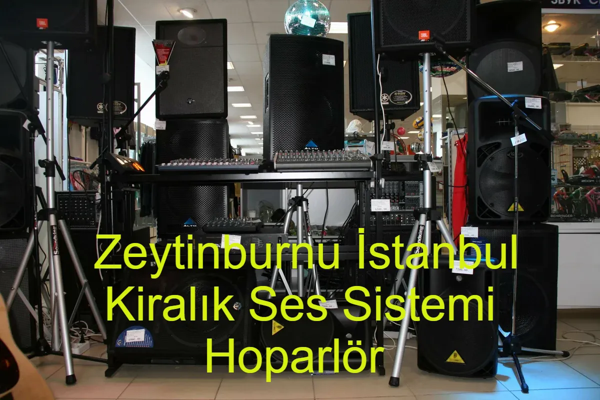 Zeyti̇nburnu Kiralık Ses Sistemi Hoparlör